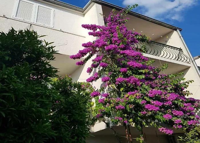 Apartmani Sonja